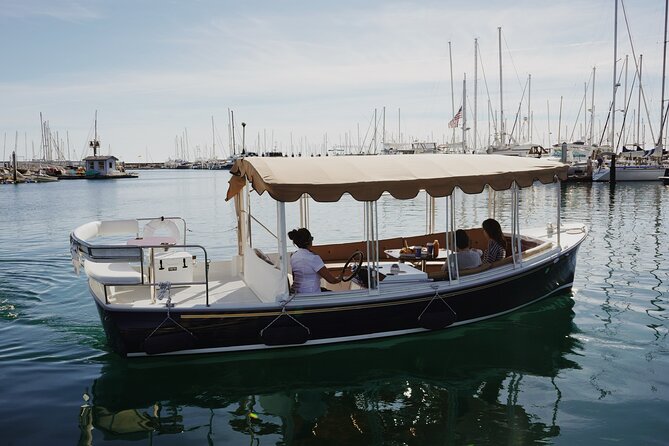 Private Harbor Cruise on Electric Boat in Santa Barbara - Pricing and Special Offers for Your Cruise