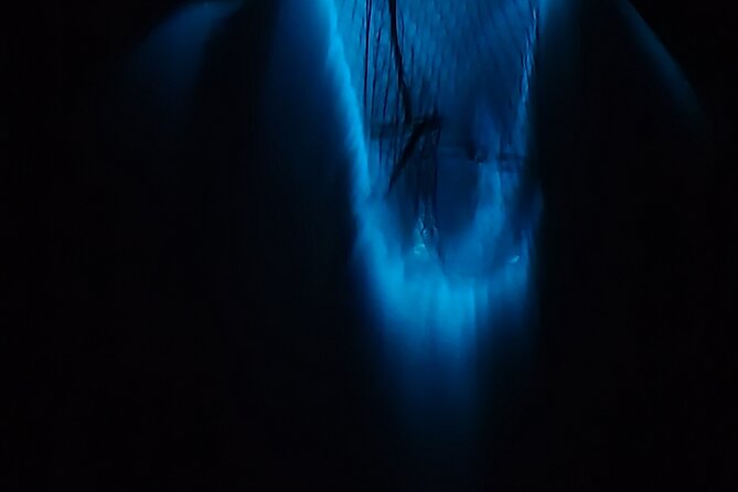 Private Sunset and Bioluminescence Tours in Cocoa Beach - Inclusions