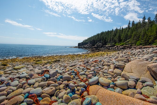 Private Tour Acadia National Park, Fjord - Meeting and Pickup Details
