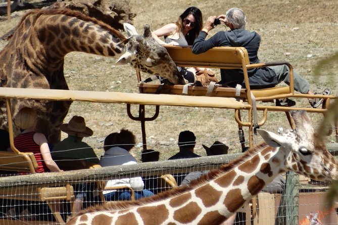 Private Tour of Sonoma Wild Safari Animal Park and Sonoma Redwoods - Additional Details