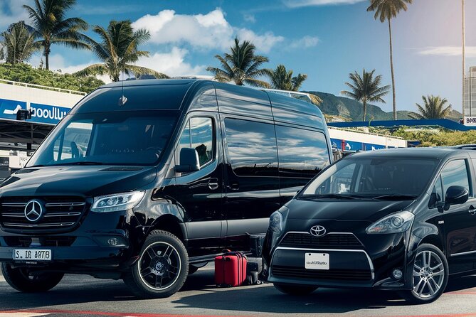 Private Transfer Honolulu Airport and Ko Olina Hotels - Accessibility