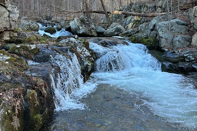 Private Trout Fishing Excursion in Virginia - Meeting and Pickup Information