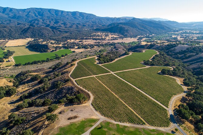 Private Vineyard Tour and Wine Tasting - Meeting and Pickup