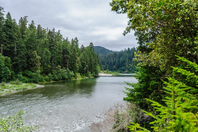 Redwood National and State Parks Self-Guided Audio Driving Tour - How to Get Started With Your Self-Guided Tour