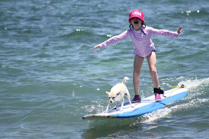 Semi Private Surf Lesson Review: Is It Worth It - Meeting and Pickup: What to Expect