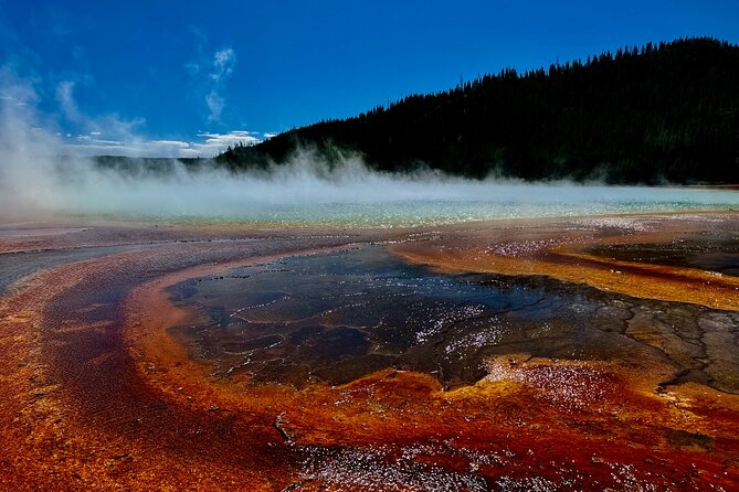 Seniors Special May  Yellowstone Tour Review - Details on Pickup and Transportation
