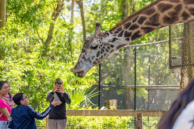 Skip The Line Central Florida Zoo Review - Ticket Pricing and Value Assessment