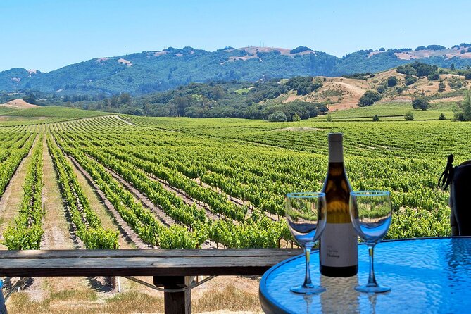 Sonoma Valley All-Inclusive Wine Tour - Pickup Information