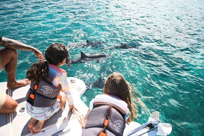 Venture Wildlife Snorkel Charter From Ko Olina - Inclusions