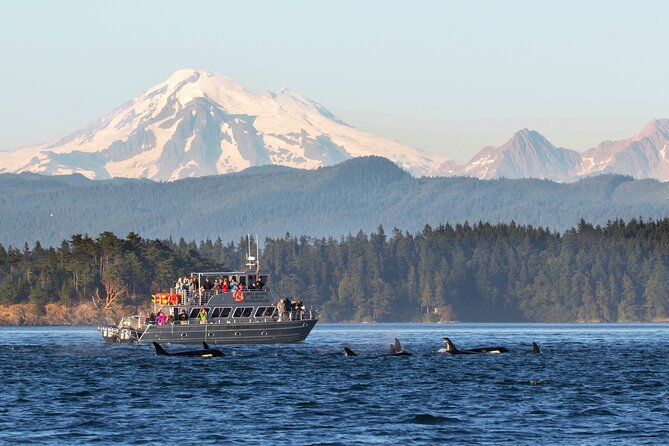 Whale Watching + Deception Pass Tour Review - Details on Pickup and Transportation