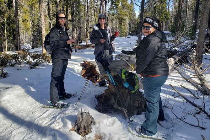 Womens Snowshoeing in Rocky Mountain National Park for Beginners - Essential Gear and Equipment Provided