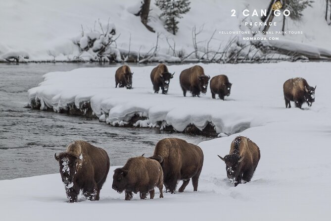 Yellowstone, Grand Teton,& Grand Circle Adventure: 7 Parks 9 Days - Inclusions and Accommodations
