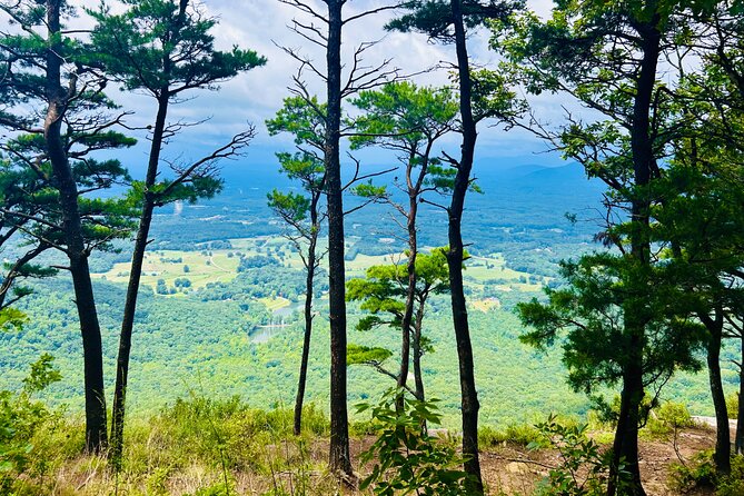Yonah Mountain Hike Private Tour in Georgia - Health and Fitness Considerations