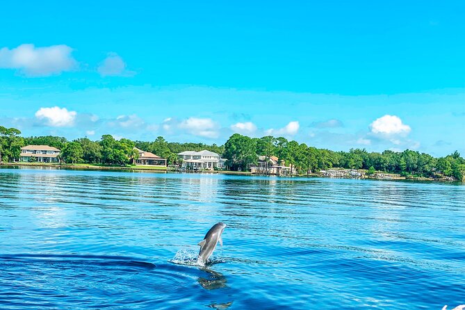 2 Hours Guided Afternoon Dolphin Tour Review - Tour Capacity and Pricing