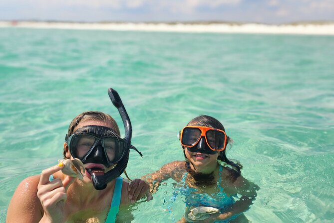 4 Hour Eco Dolphin Tour in Panama Review - What to Expect on the Dolphin Tour