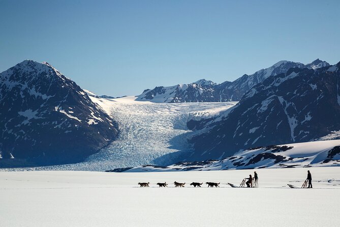 Alaska Helicopter and Glacier Dogsled Tour - SEWARD AREA - Transportation and Accessibility Options