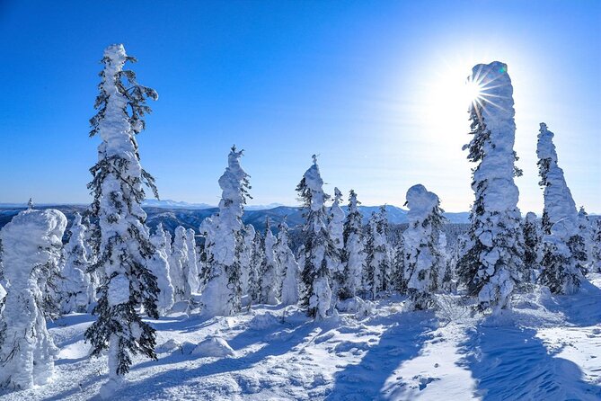 Arctic Circle Day Tour Adventure Review - Tour Inclusions and Amenities