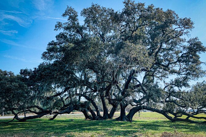 Brazos Bend Wildlife and Nature Tour - Itinerary and Duration of the Tour