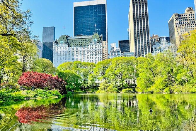 Central Park Pedicab Rides Review - What to Expect on the Ride