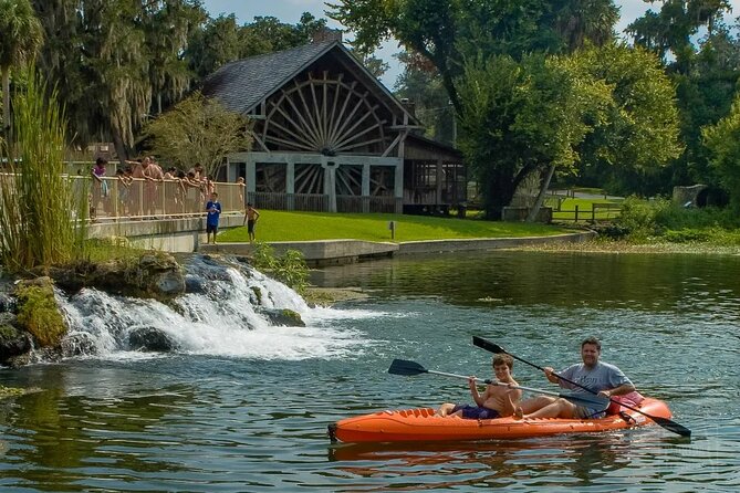 DeLeon Springs River Boat Tour Review - Tour Highlights and Attractions