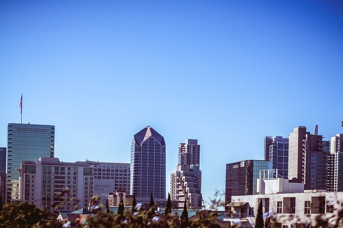 Discover San Diego Together With Family Walking Tour - Accessibility and Participation