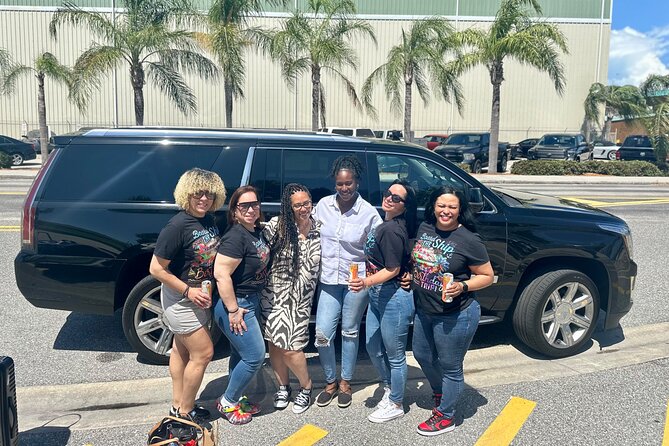 Disney Hotels To/From Port Canaveral Private Van Transfer - Accessibility Options
