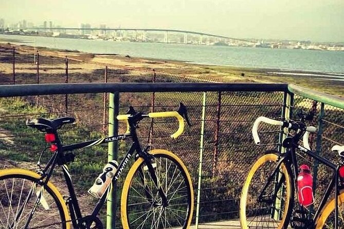 E-Bike Tours in Coronado Review - Meeting Point and Schedule