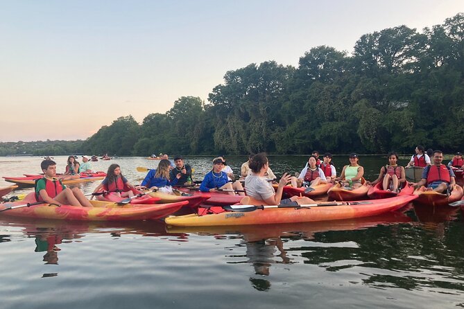 Evening Bat Watching Kayak Tour Review - Key Features and Inclusions of the Tour
