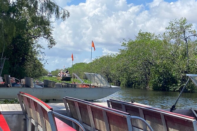 Experience Miami Everglades Eco Tour Review - The Single Review Insight