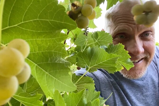 Five Star AZ Wine Crawler Tour 4- 12 PPL - Booking Information