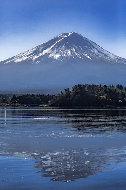 From Tokyo: Chureito Pagoda、Mount Fuji Sightseeing Day Tour - Guide Identification