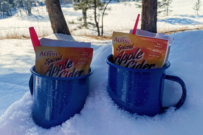 Frozen Waterfall Snowshoe Tour Review - What to Expect During the Snowshoe Adventure
