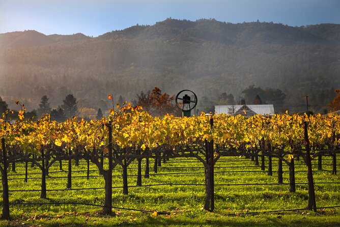 Full-Day Private Amador County Wine Tour From San Francisco - Accessibility and Participation