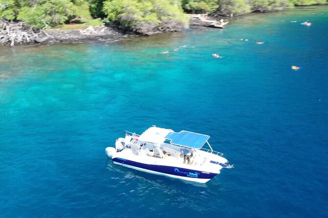 Half Day Private Cruise Tour With Snorkeling Review - Details on Accessibility and Participation