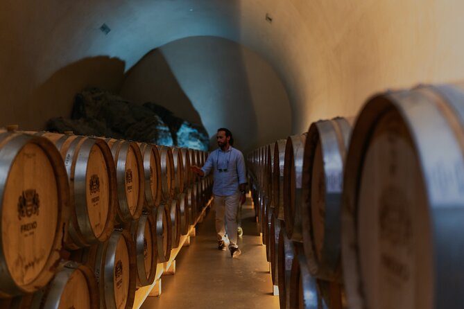 Half Day Wine Tour Around Evora - Additional Information