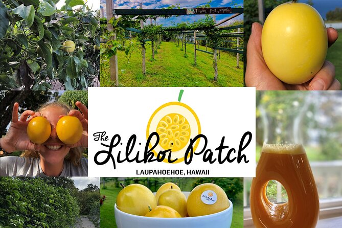 Hamakua Coast Farm Small-Group Walking and Tasting Tour - Highlights of the Experience