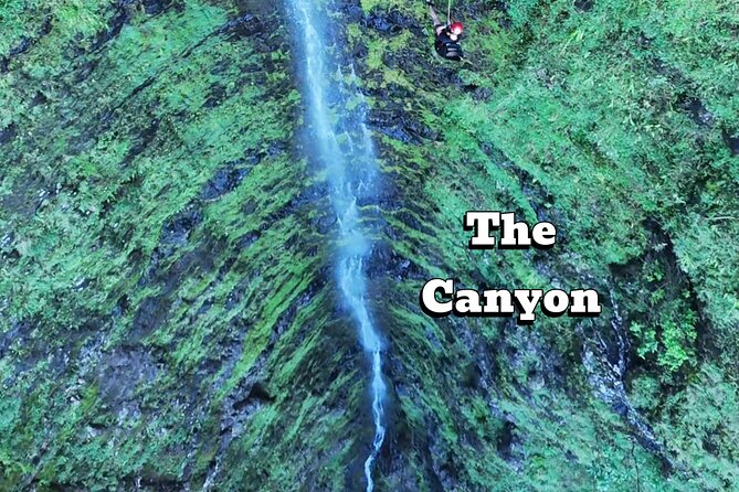 Hawaii Oahu Canyon Rappel & Hike Expedition Tour - Meeting Point and Transportation