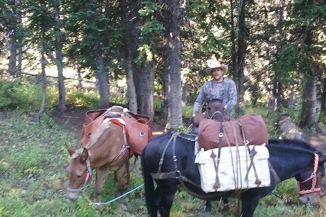High Mountain Scenic Trail Rides in the Teton Range - Activity Details