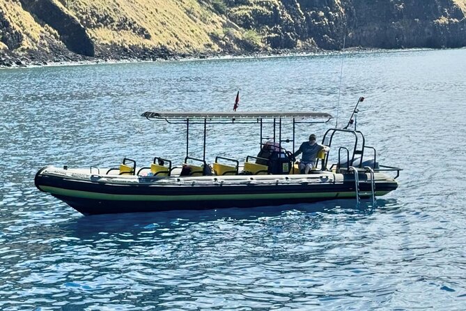Humpback Whale Watching in Kona Review - Meeting Point and How to Get There