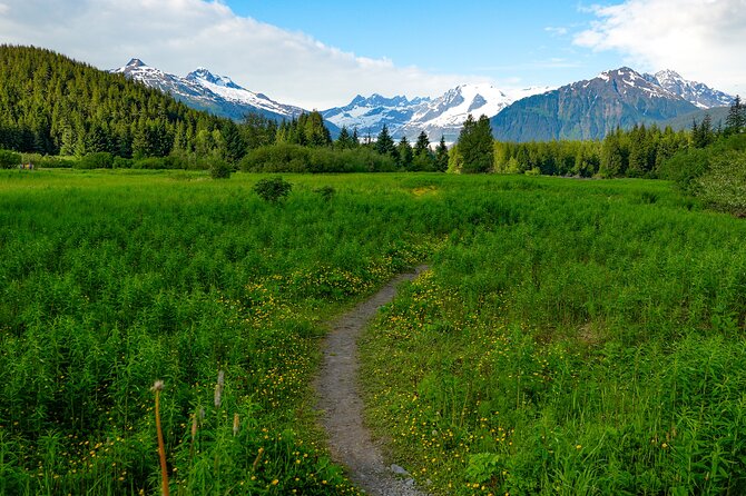 Juneau Highlights and Mendenhall Glacier Tour - Booking Information