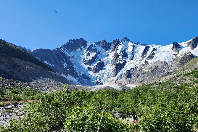 Laughton Glacier Hike and White Pass Rail Adventure - Savoring the Lunch and Snacks