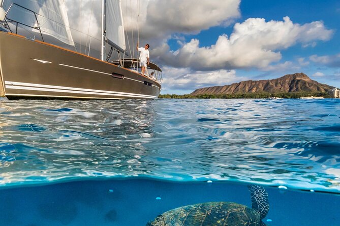 Luxury Diamond Head Sunset Sail Review - Wildlife Encounters: Dolphins and Whales