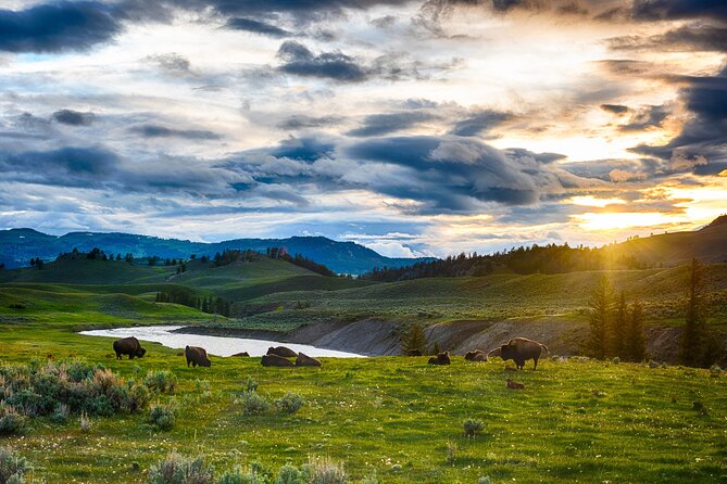 Luxury Grand Loop Tour of Yellowstone National Park - Pickup Information