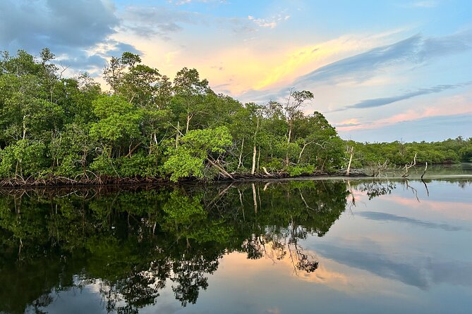 Mangrove and Gulf Excursion Tour - Health and Safety Guidelines