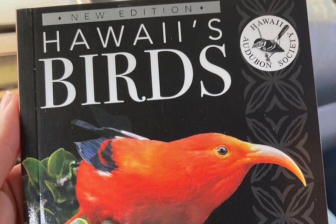 Maui Birdwatching at Maui Bird House - Meal Options
