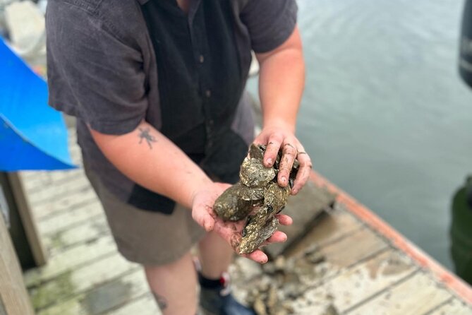 Mere Point Oyster Farm Tour Review - Meeting Point and Transportation Info