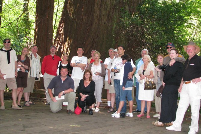 Muir Woods Forest Private Tours Review - Accessibility and Traveler Information