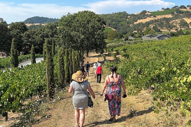 Napa Mountainside Small Group Winery Tour - Cancellation Policy and Booking Flexibility