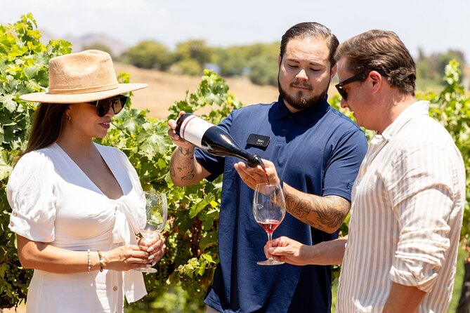Private All-Inclusive Tour With Tasting and Lunch in Paso Robles - Wine Tasting and Flights