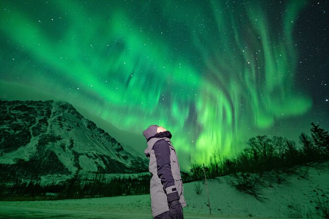 Private Aurora Viewing Experience in Fairbanks - Accessibility